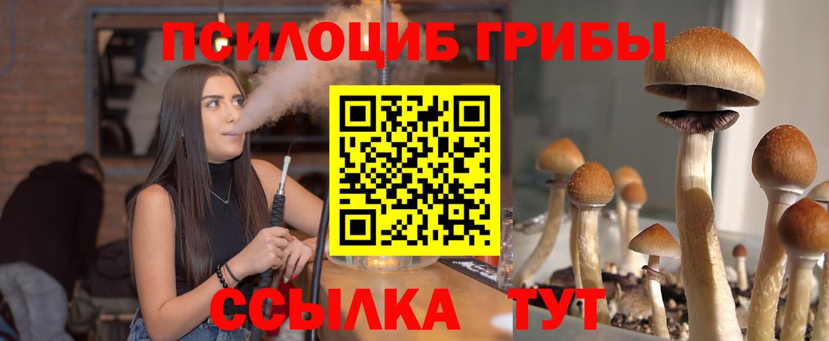 Псилоцибиновые грибы Psilocybine cubensis  Галлюциногенные грибы GOLDEN TEACHER  даркнет сайт  Вход с VPN  Североуральск 